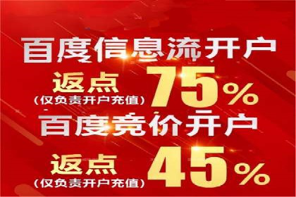 案例研究：SEM代运营服务公司的创新策略